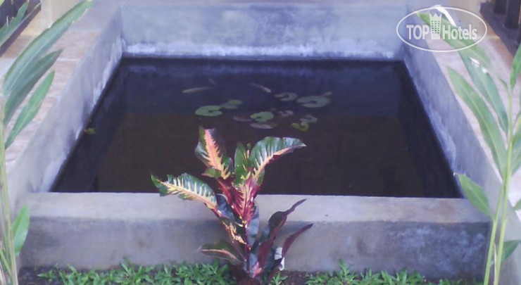 New photos from tourists Bali Relaxs Homestay And Cafe 1*