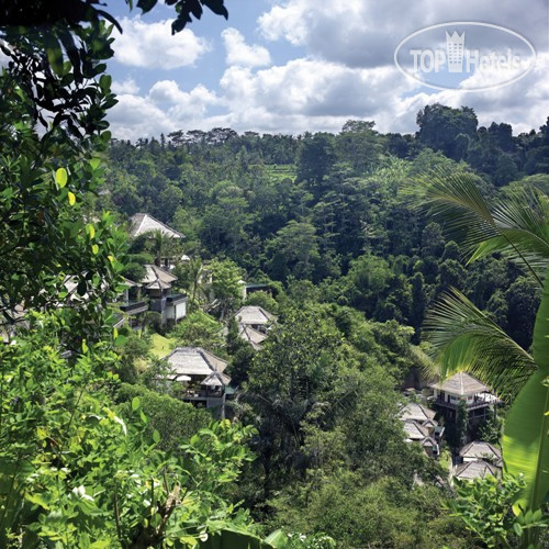 Hotel photo Ubud Hanging Gardens 5*