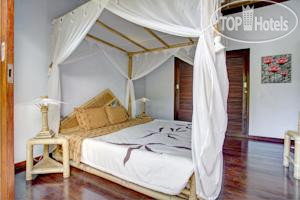 New photos from tourists Andrea Villa 4*