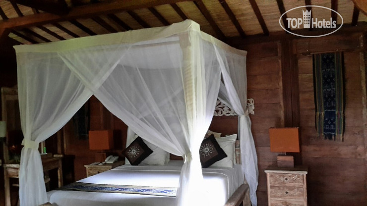 New photos from tourists The Aura Shanti Retreat & Villa 2*