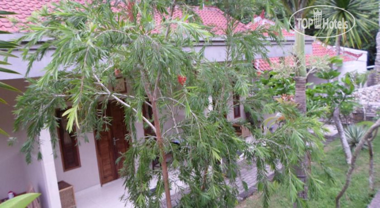 New photos from tourists Belong Bunter Homestay