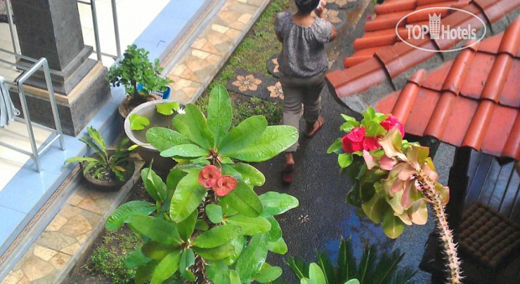 Hotel photo Jangkrik Homestay 2*