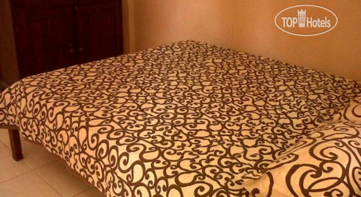 New photos from tourists Citrus Tree B&B - Arik