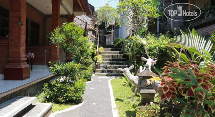Hotelier's photos Citrus Tree B&B - Arik