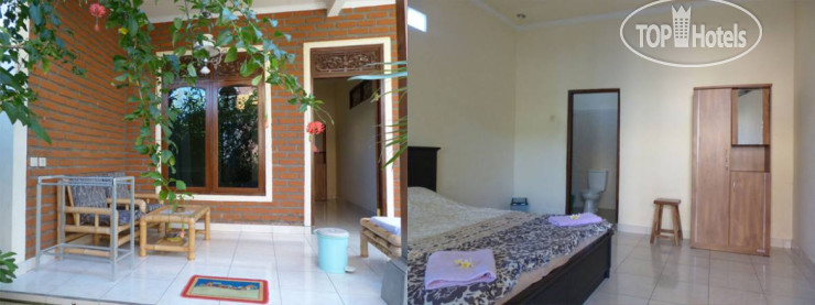 Hotelier's photos Citrus Tree B&B - Darta