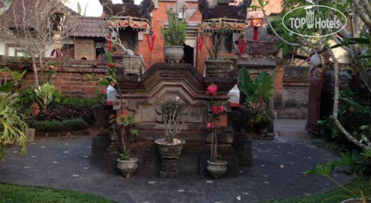 New photos from tourists Den Den Mushi