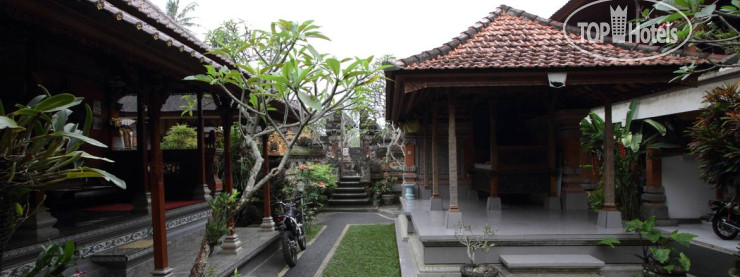 New photos from tourists Citrus Tree B&B - Hutama