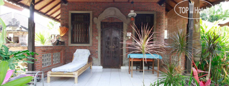 New photos from tourists Citrus Tree B&B - Shana