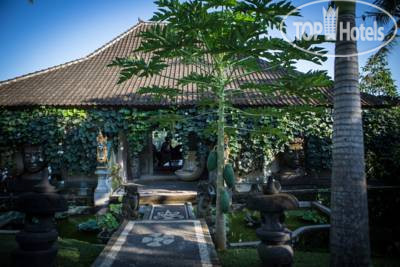 Hotelier's photos Kalisat Villa 3*