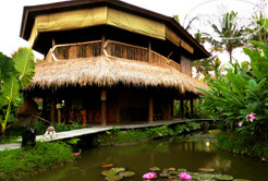 Hotel photo Dragonfly Village 3*