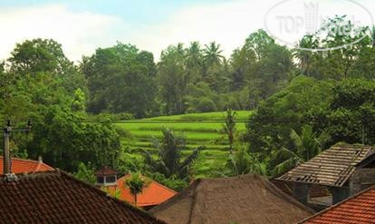 New photos from tourists Brata Inn