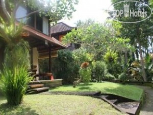 New photos from tourists Abangan Bungalow