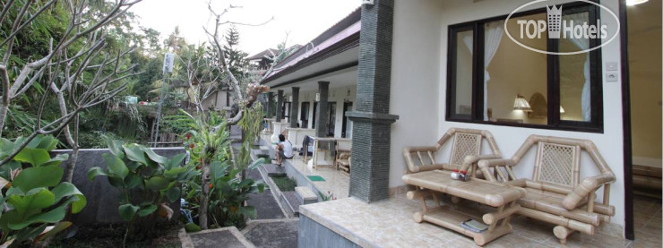 New photos from tourists Citrus Tree B&B - Widia