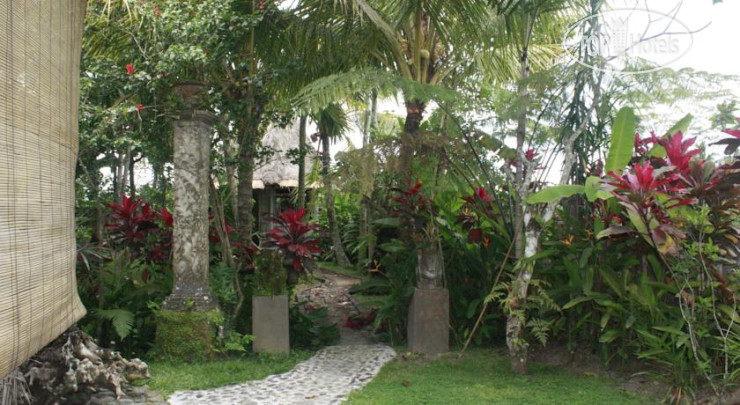 New photos from tourists 9th House