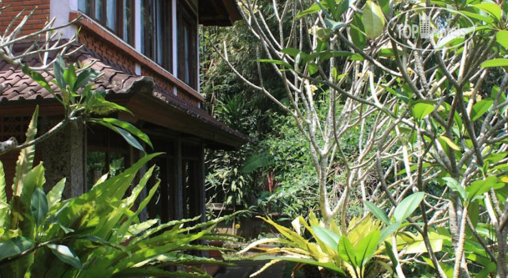 Hotel photo Pager Bungalow's 