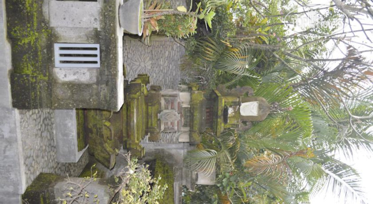 New photos from tourists Jatayu House 1*