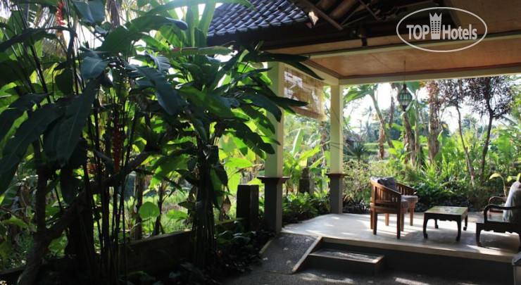 New photos from tourists Harmony Restaurant And Villa 2*