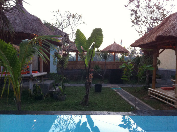 New photos from tourists The Djoyo Bed & Breakfast 1*