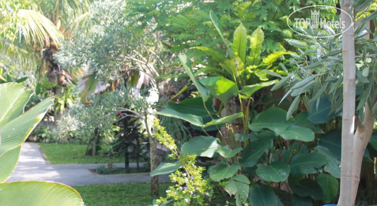New photos from tourists Secret Garden Guest House