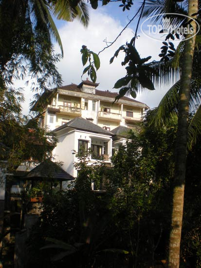 New photos from tourists Igna Bungalows 2*