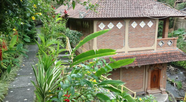New photos from tourists Ani's Villas 3*
