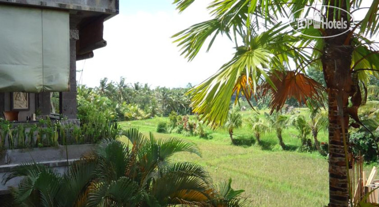 New photos from tourists Bali Moon Guest House 1*