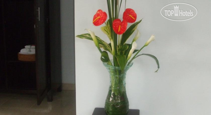 Hotelier's photos Peteka Villa 1*