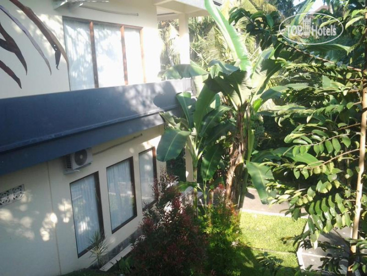 New photos from tourists Agung Trisna Bungalows 3*