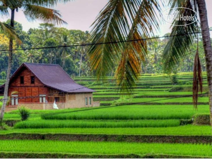 Hotel photo Ibu Ubud Villa 4*