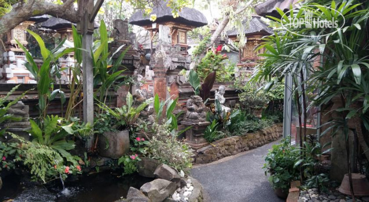 New photos from tourists Desak Putu Putera Homestay 1*