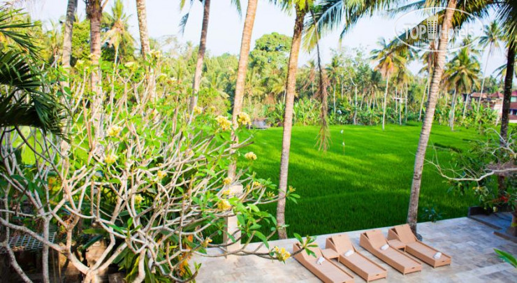 Hotelier's photos Indigo Tree 4*