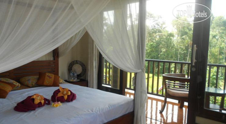 New photos from tourists Jasmine Villa B&B 2*