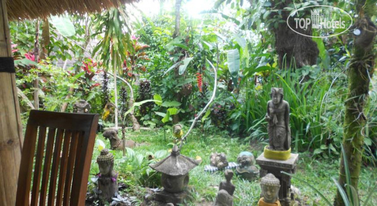 Hotelier's photos Matahari Lumbung's Bungalow 2*