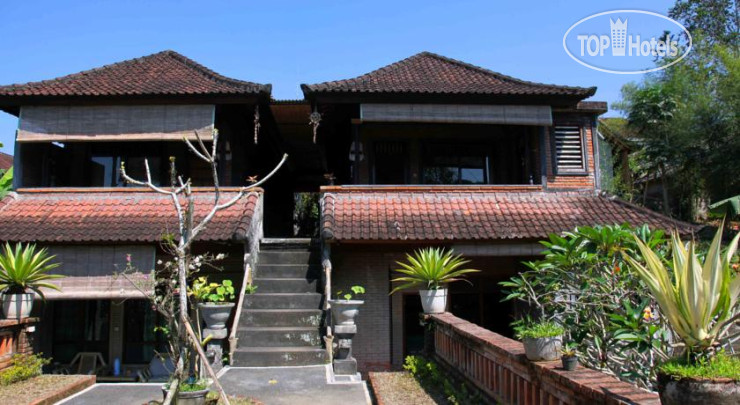 Hotelier's photos Citrus Tree B&B - Sulendra