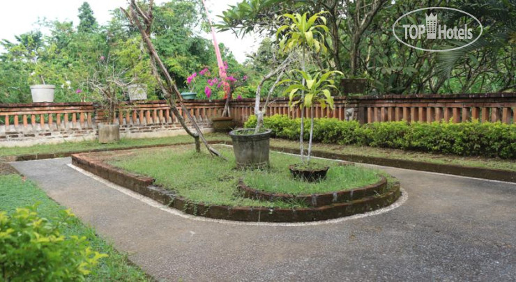 New photos from tourists Citrus Tree B&B - Sulendra