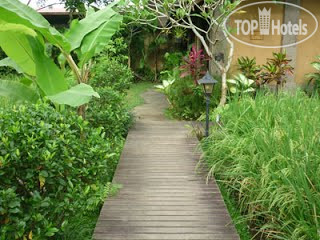 New photos from tourists Bliss Spa & Bungalow 3*