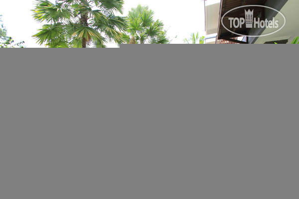 New photos from tourists Indira Cottage Ubud Bali 3*
