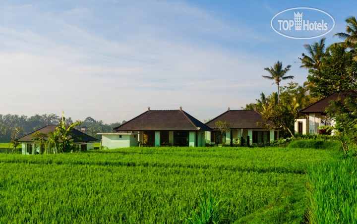 Hotelier's photos The Samara Villas & Restaurant 4*