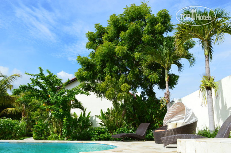 New photos from tourists Ocean Sun Dive Resort 3*