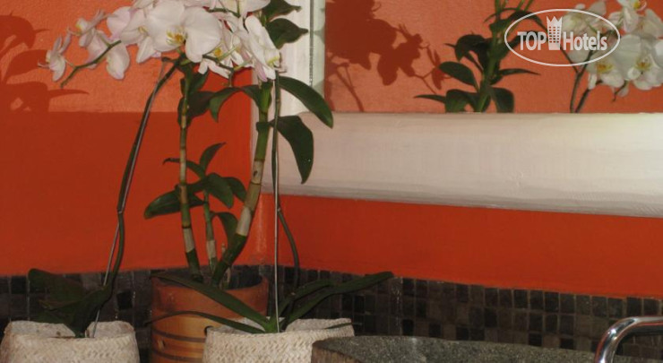 New photos from tourists Villa Cepaka Bed & Breakfast 1*