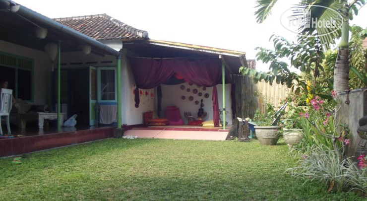 New photos from tourists Zappa Bali Hostel