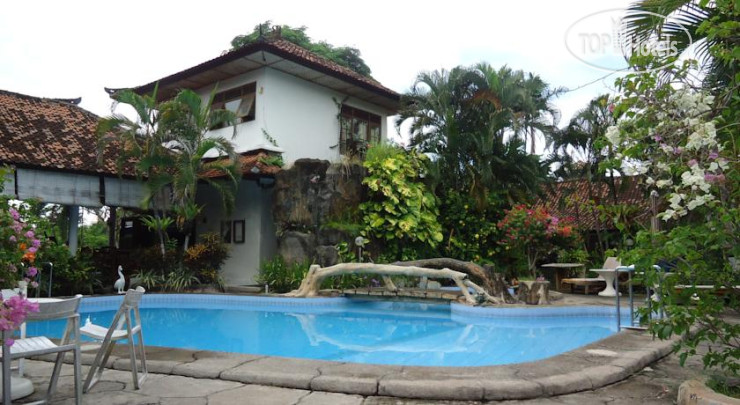 New photos from tourists Bali Warma Hotel 2*