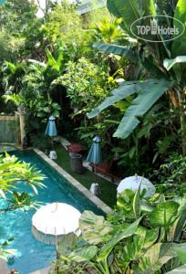 Hotel photo Green Chaka Eden 2*