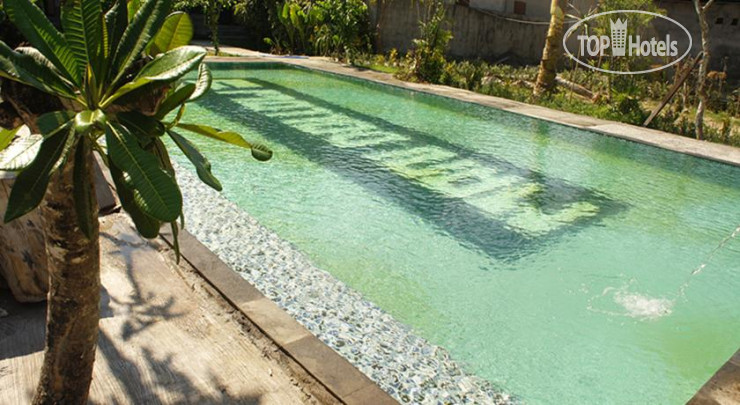 New photos from tourists Bidadari Bali Hotel