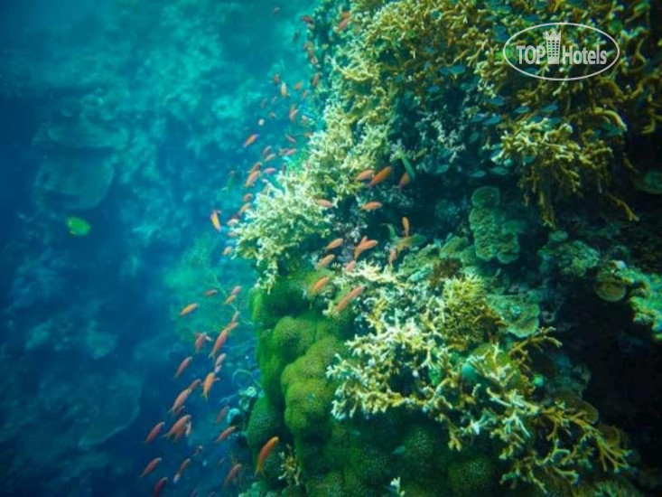 New photos from tourists Kubuku Ecolodge And Resto 2*