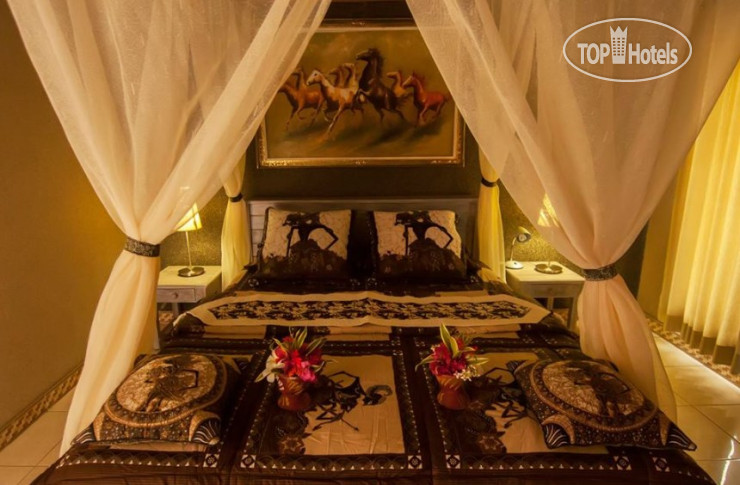 New photos from tourists Global Dive Lodges 3*
