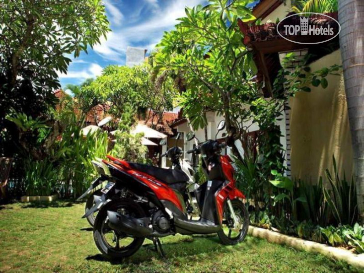 Hotel photo Yuli Bungalows 2*