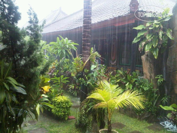 Hotel photo Pulestis Beach Hotel 2*