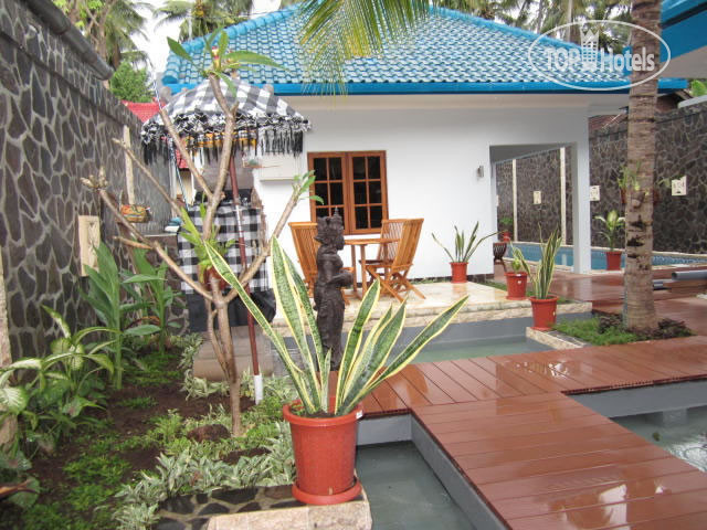 New photos from tourists Lovina Oasis 3*