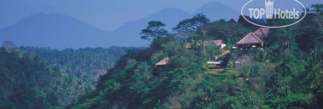 New photos from tourists Alila Ubud 4*